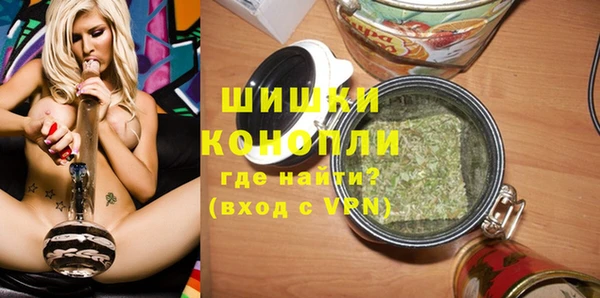 дживик Козельск