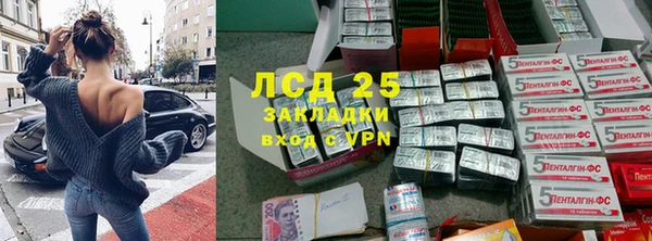 дживик Козельск