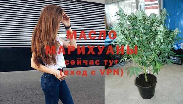 дживик Козельск