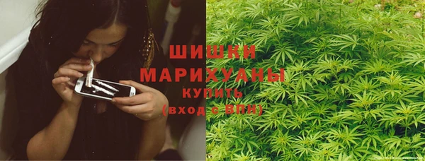 дживик Козельск