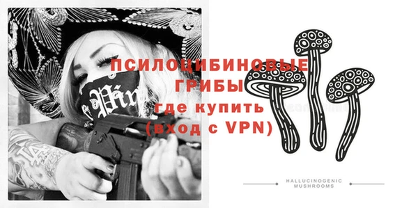 дживик Козельск