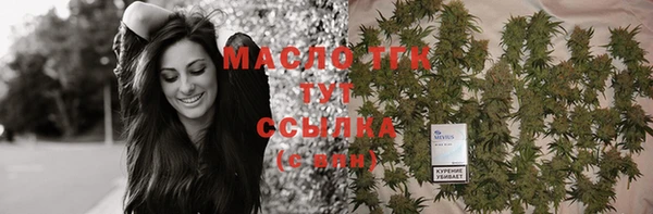 дживик Козельск