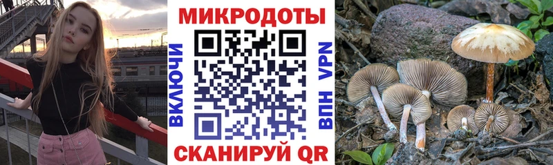 Галлюциногенные грибы Magic Shrooms  Купить закладки  Краснокаменск 